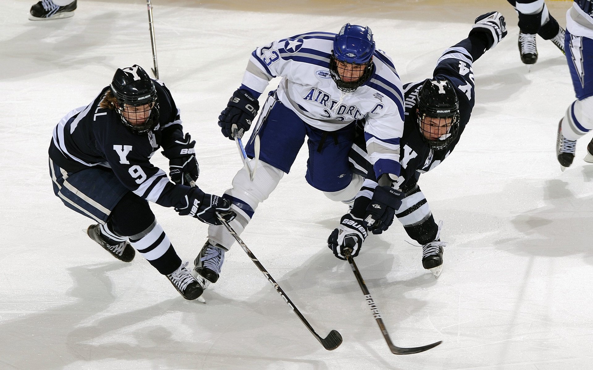 字母哥大场面先生，当尼克斯的钢铁丛林遇见上海队的东方韵律