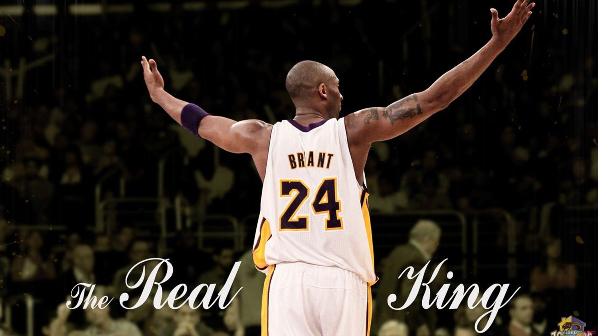 DB电竞官网平台-从戴维斯杯鏖战到法网红土，辛纳如何以坚韧统治全场